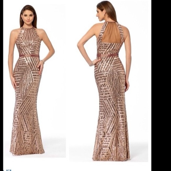 Cache blush sequin dress - Picture 7 of 7